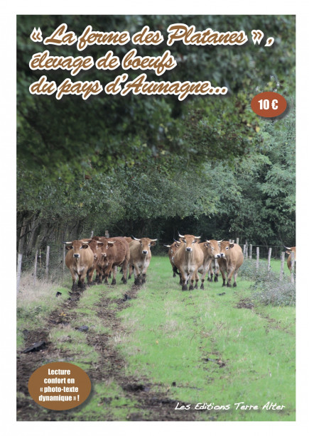 Reportage n°6 - La ferme d'Aumagne, élevage de boeufs fermiers biologiques - Grand format
